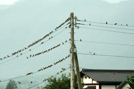 grƃNh
